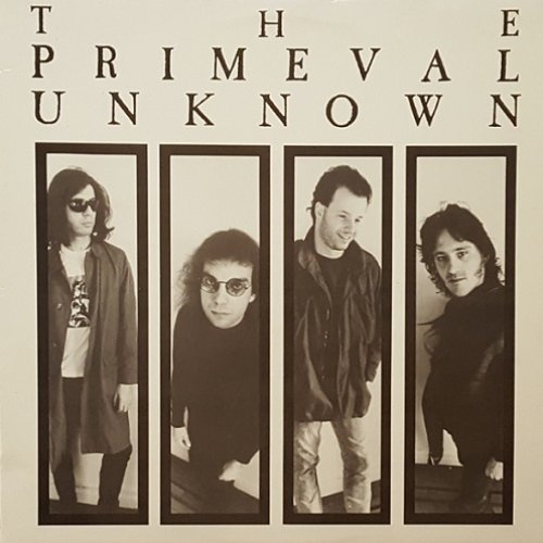 The Primeval Unknown