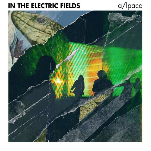 In the Electric Fields
