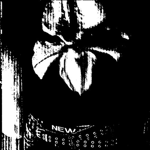 Pr3sident - Single