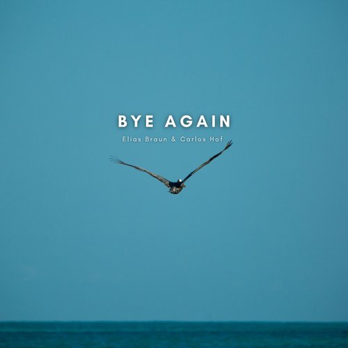 Bye Again