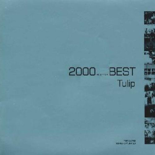 2000 BEST チューリップ