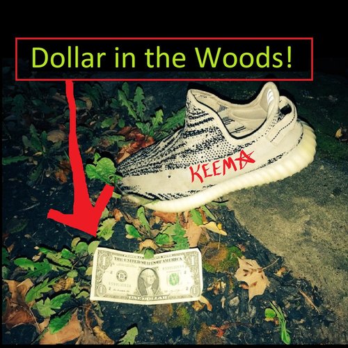Dollar in the Woods!