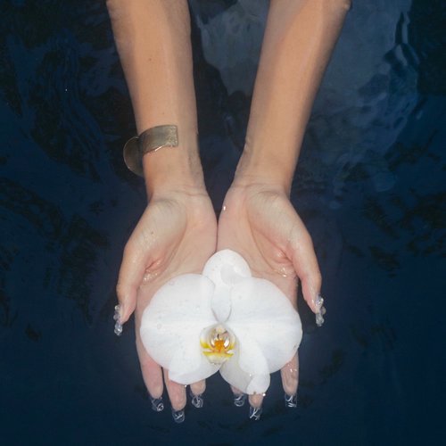 orchids (lullabies) [Clean] [Clean]