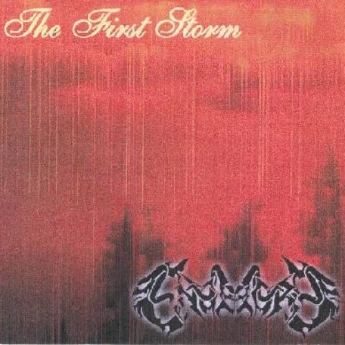 The first storm