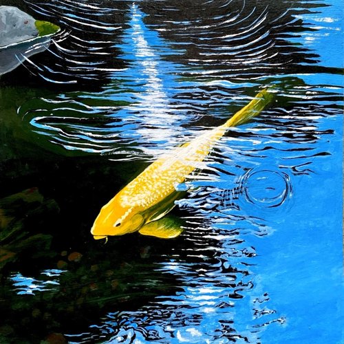 Pond