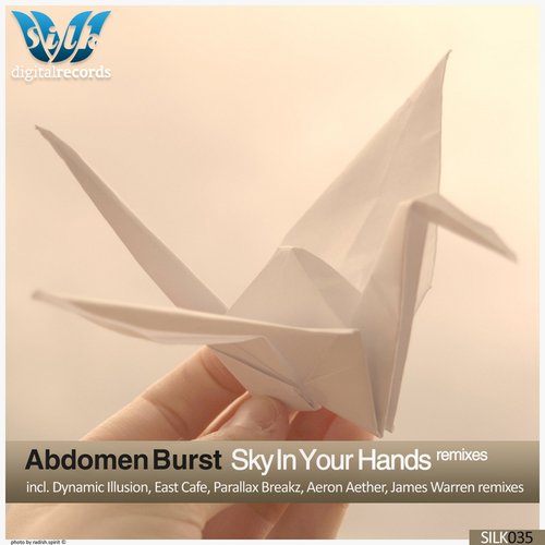 Sky In Your Hands (Remixes)