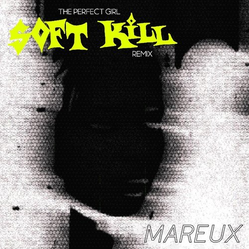 The Perfect Girl (Soft Kill Remix)