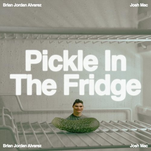 Pickle in the Fridge