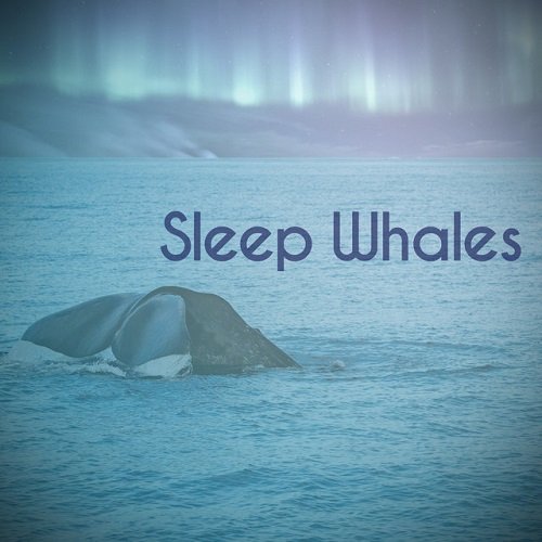 Sleep Whales