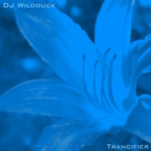 DWD004: Trancifier