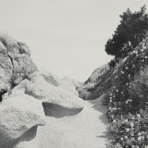 Mild Western EP