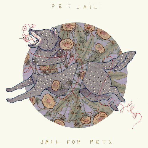 Jail For Pets