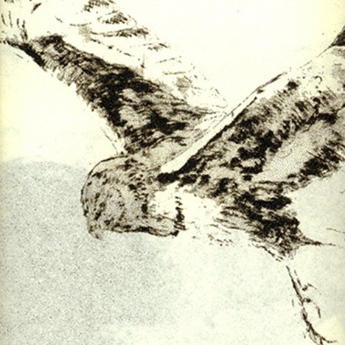 Halcyon Weights