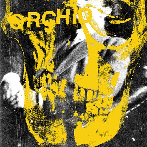 Invasion USSR Сompilation: A Tribute to Orchid
