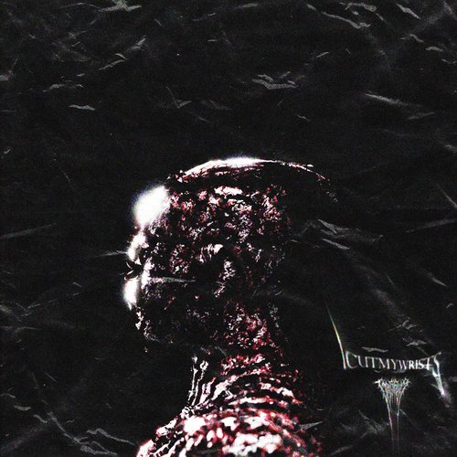 iCUTMYWRiSTS - Single