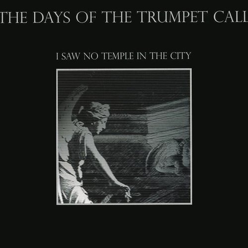 I Saw No Temple in the City
