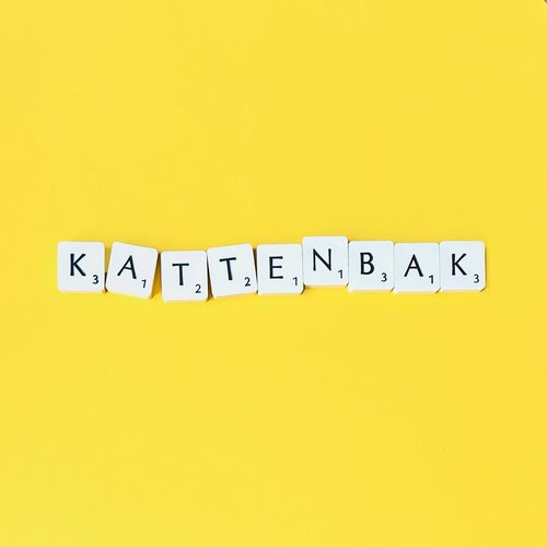 Kattenbak