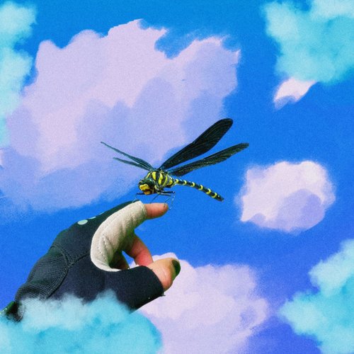 Dragonfly - Single