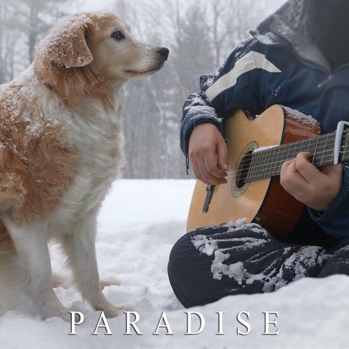 Paradise - Single