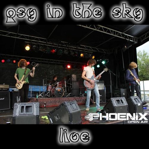 Live Phoenix Open Air 13/08/2011