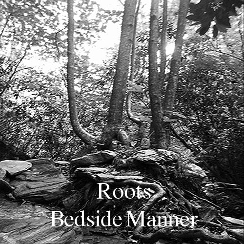 Roots