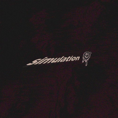 Simulation