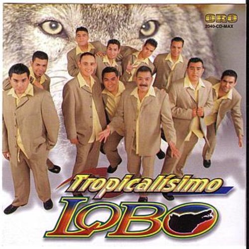 Lobo al 100 por ciento