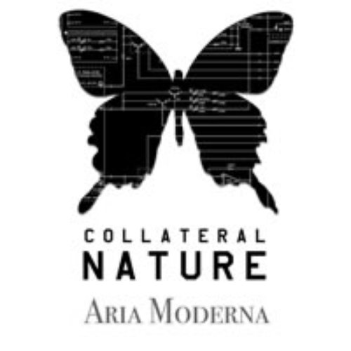 Aria Moderna