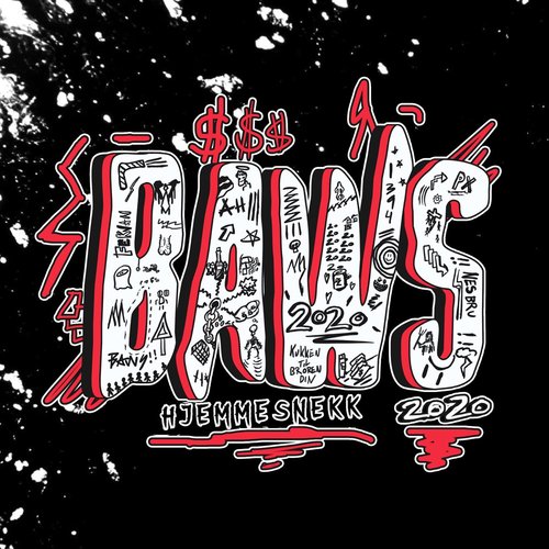 Baws 2020 - Hjemmesnekk