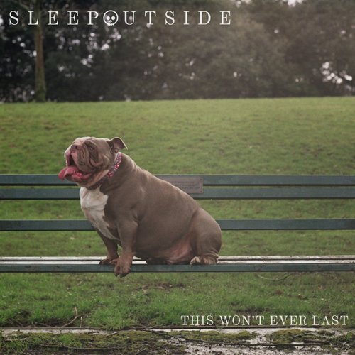 This Won't Ever Last - Single