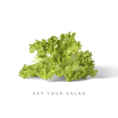 Eat Your Salad - Single