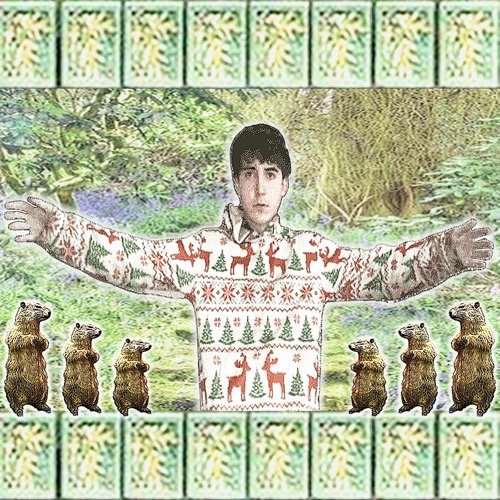 Prairie Dog