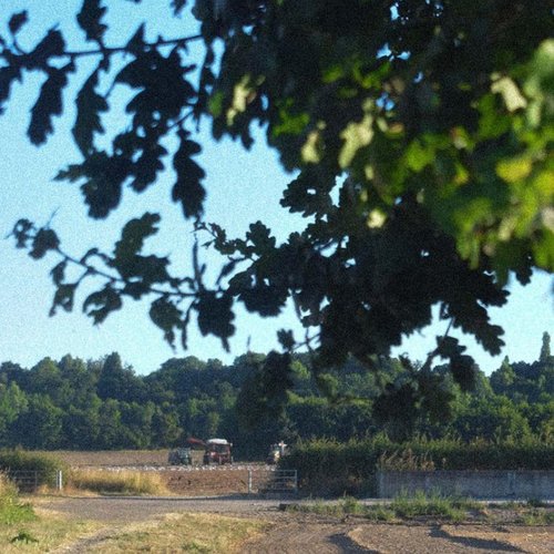 fields