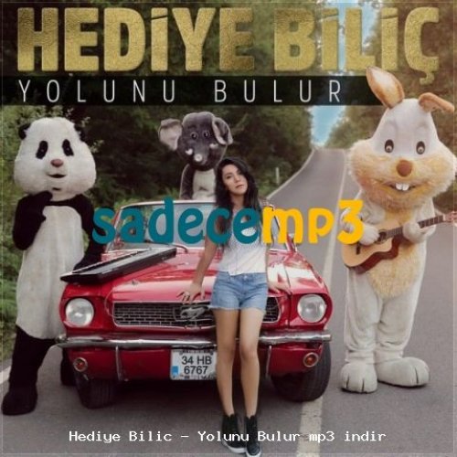 Yolunu Bulur