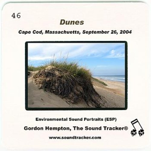 Dunes