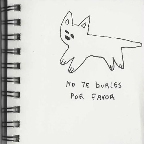 no te burles por favor