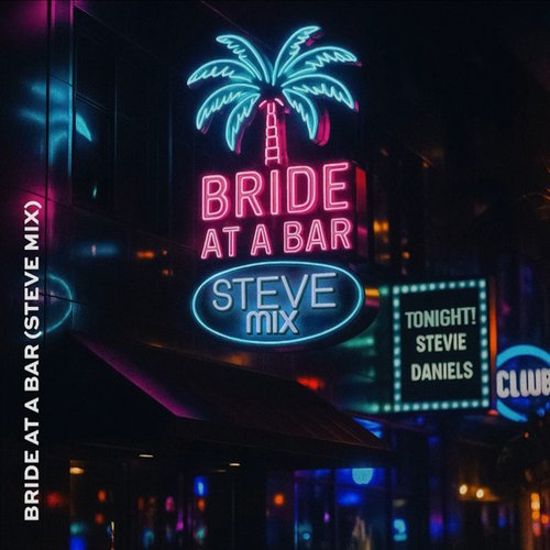 bride at a bar (steve mix)