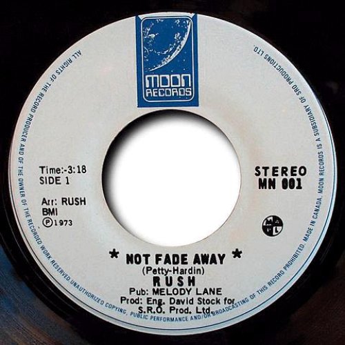 Not Fade Away / You Can't Fight It