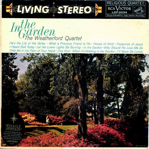 In the Garden