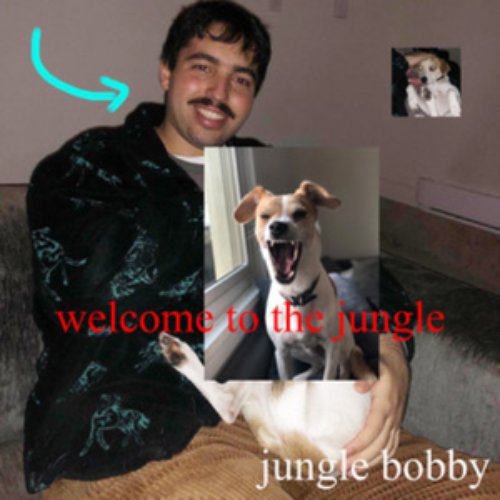 welcome to the jungle
