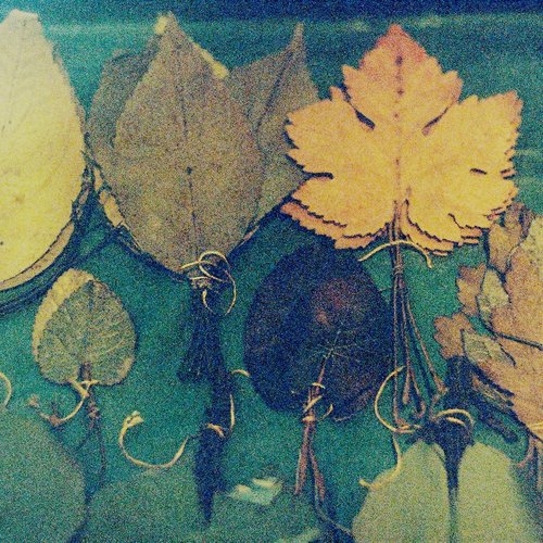 B-Sides and Rarities