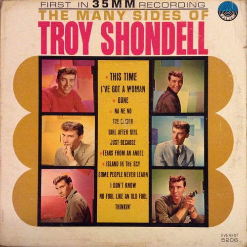 The Many Sides Of Troy Shondell