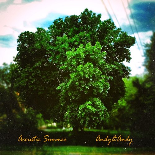 Acoustic Summer