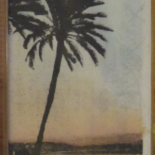 The Palm Leaves Of Victory