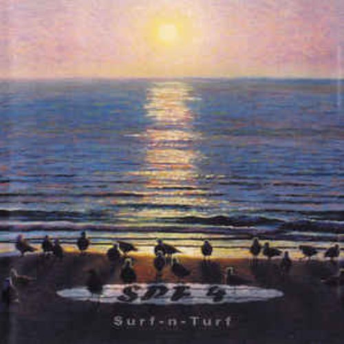 Surf 'n' Turf
