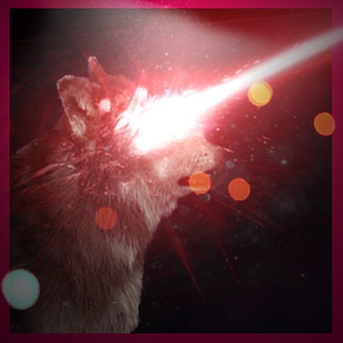XerosoTapes