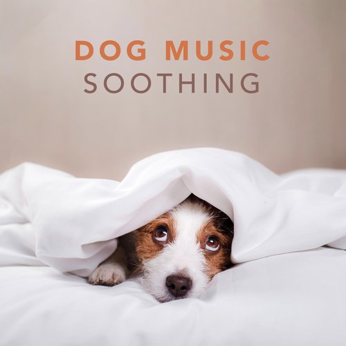 Dog Music - Soothing Music for Dogs and Puppies