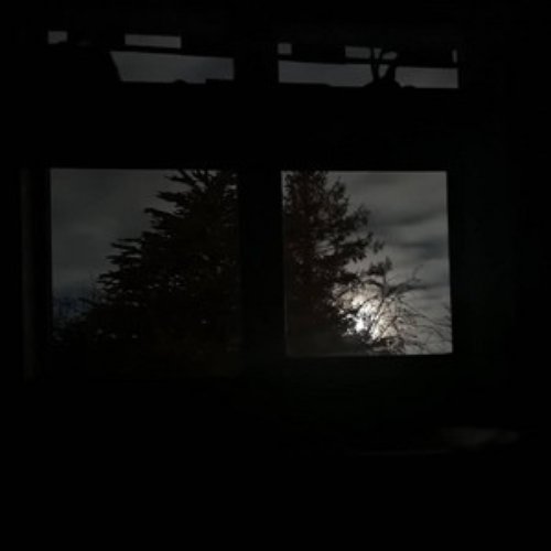 stuck alone with nowhere to go