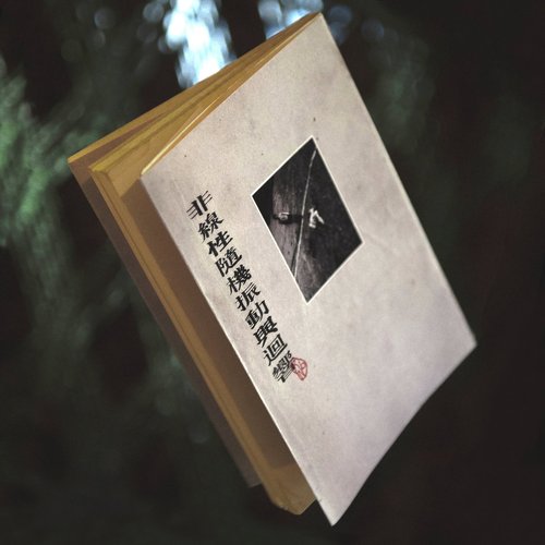 非線性隨機振動與響應