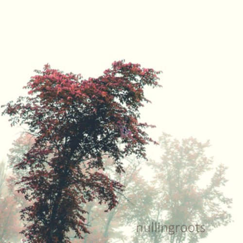 Nullingroots